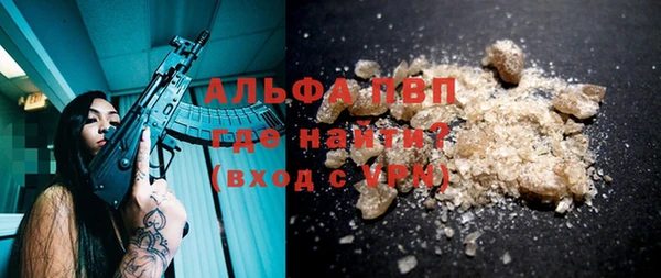 прущие грибы Балабаново
