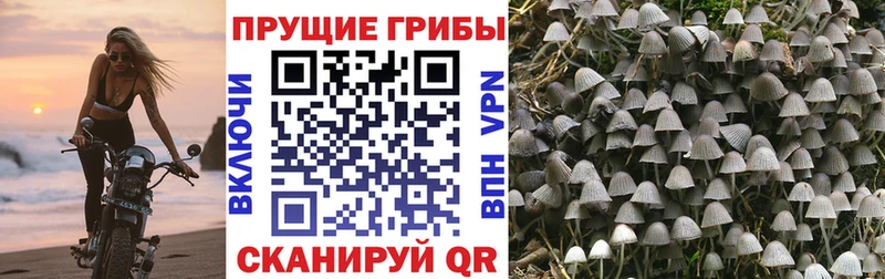 Галлюциногенные грибы Cubensis  маркетплейс Telegram  Долинск 